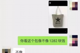 常州为什么选择专业追讨公司来处理您的债务纠纷？